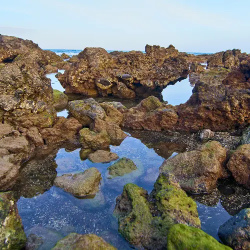 iStock-891575654pozo negro_result